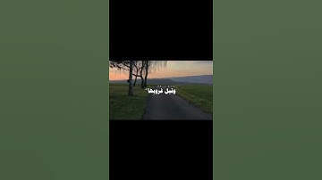 تلاوة هادئة ومريحة جدا 😴💙 قران كريم بصوت القارئ محمد ايوب# راحةنفسية