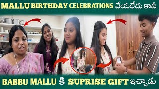 Mallu Did Not Celebrate Birthday But Babbu Gave Mallu A Surprise Gift Pareshaanbabbu07