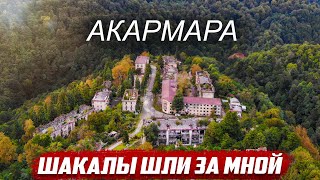 Ночью с шакалами в лесу | Абхазия - Акармара