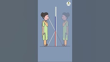 আলোর প্রতিফলন | Reflection of Light #physics #mirror #reflection #bigganwise #ssc #hsc2026 #hsc