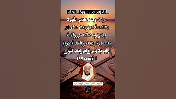 الآية 59 من سورة الأنعام...القارئ الشيخ هاني الرفاعي.