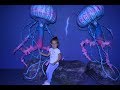 Музей медуз в Киеве/Jellyfish museum