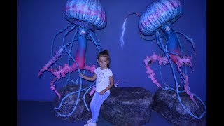 Музей медуз в Киеве/Jellyfish museum