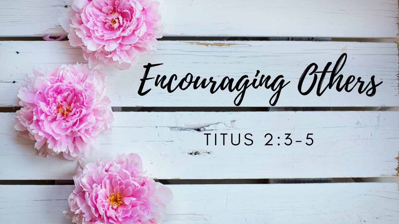 Titus 23 5 Youtube