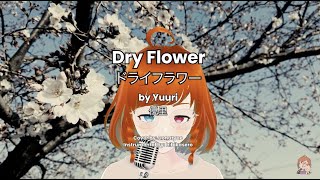 Yuuri Dry Flowerドライフラワー優里Donutyue Cover
