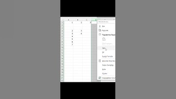 Excel