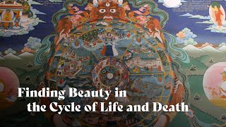 Beyond the Fear: Discovering Beauty in the Cycle of Life and Death | Dr. Philippe Goldin