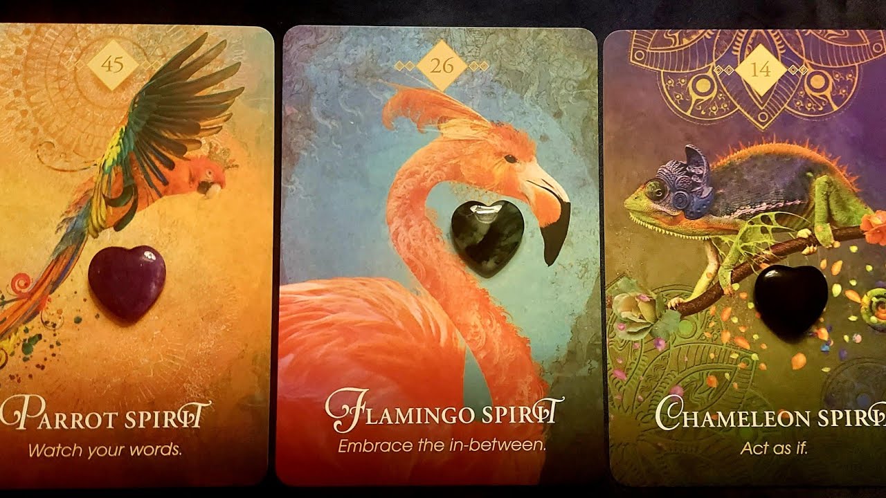 🌹YOUR FUTURE SPOUSE LOYALTY TO YOU🌹PICK A CARD TAROT READING V.DETAILED AND TIMELESS