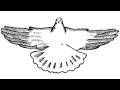 Nikolaevsky chubaty pigeons lark wing movement with landing