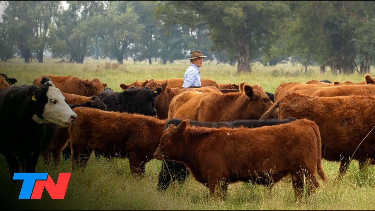 La Julia, un modelo de producción ganadera que respeta el origen y la calidad