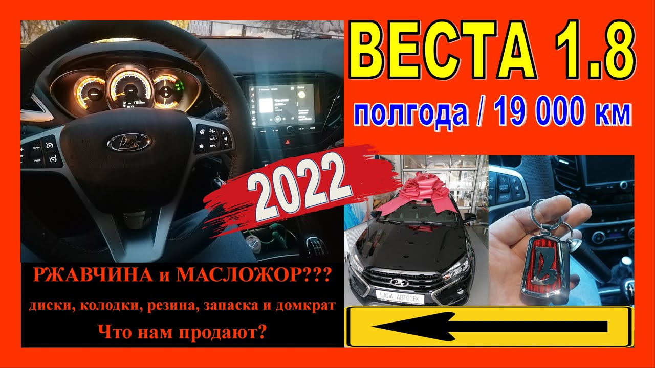 Веста на дороге