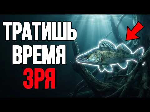 Ты НИКОГДА не поймаешь судака в этих местах