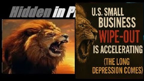 Dit is geen toeval... Amerikaanse kleine bedrijven worden volledig weggevaagd. Mannarino