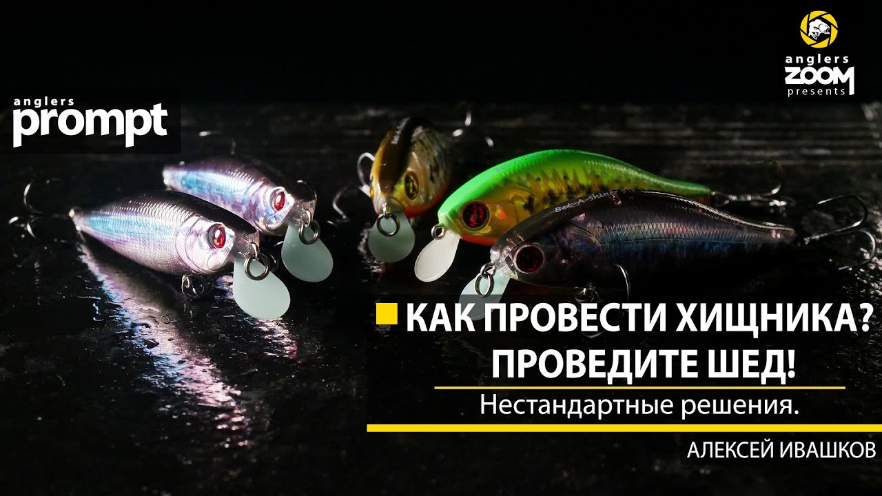 Как провести хищника? Проведите шед! Нестандартные решения. Алексей Ивашков. Anglers Prompt.