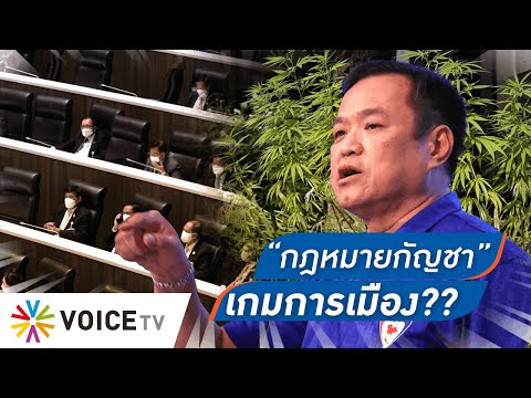 “กัญชา” เป็นเกมการเมือง หวังสกัด “ภูมิใจไทย” หรือพังเพราะอ่อนสื่อสาร - Talking Thailand