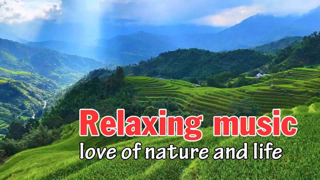 Relaxing music | Beatiful melody beautify your soul and reduce stress - love of nature and life