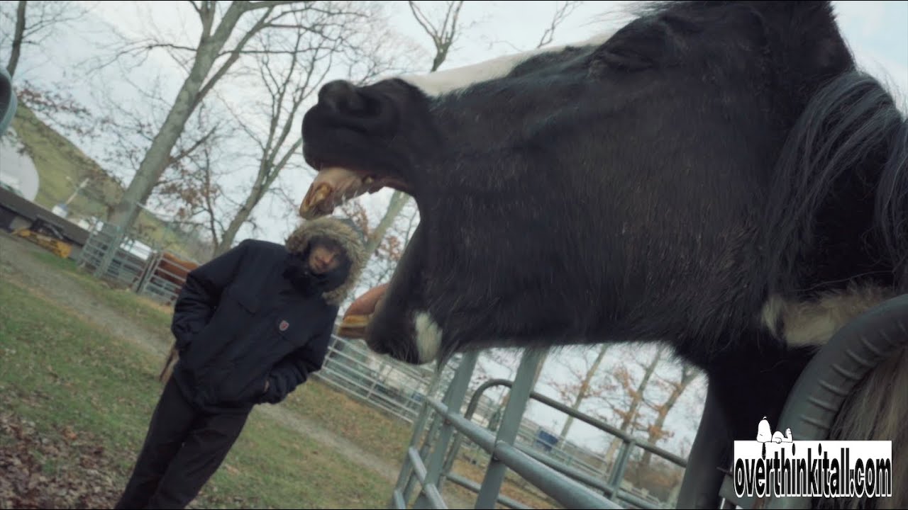 Paul - Horse Girl *Official Mv