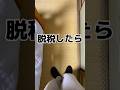 正直日本に税金払いたくないよね #shorto