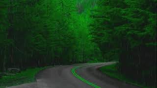 Heavy Rain Road & Rainforest, Sleep, Study or Focus with Rain Sounds