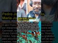 Pedro Javier, o Cirilo da Maria Joaquina