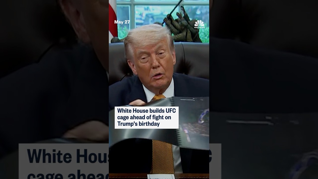 White House builds UFC cage ahead of fight on Trump’s birthday