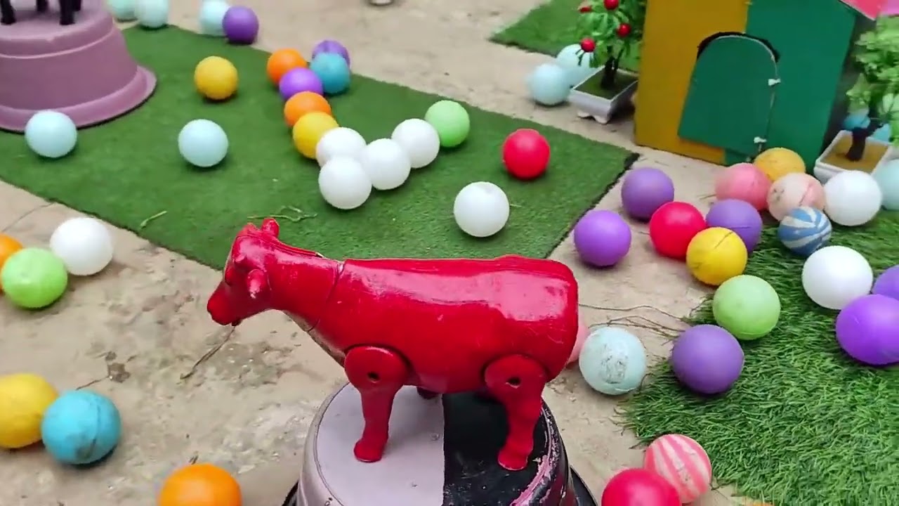 Tangkap Ayam Lucu Rainbow, Ikan Hias, dan Kelinci Lucu | Seru dan Menghibur