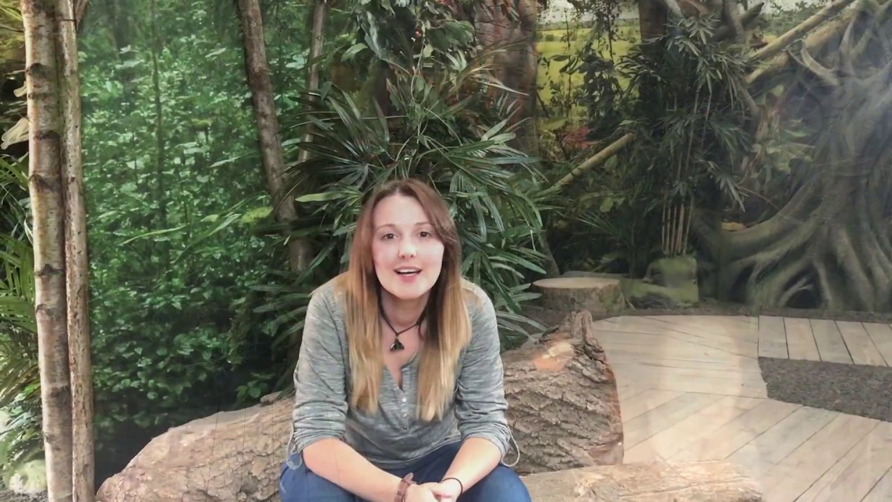 BBC Earth Presenter Search - Rainforests 