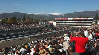 IMG 9061