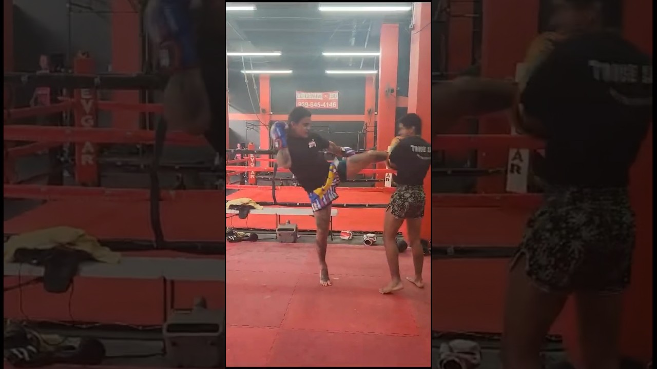 Try this fun combo!   Jab/roundhouse/left upper/cross/switch kick. 