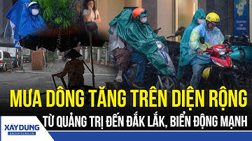 Cảnh báo mưa dông, biển động mạnh từ Quảng Trị đến Đắk Lắk | BXD