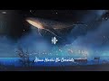 Akua Hoshi No Omoide Ost Nobita Và Cuộc Đại Thủy Chiến Ở Xứ Sở Người Cá Doraemon Movie 2010 Piano 