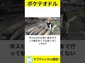 【ネコガミ】ボケテオドルwwwパート63