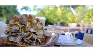 Yacht LEOLENA Charter Experience