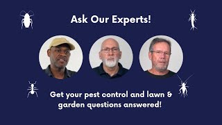 DIY Pest Control Q&A Livestream - we answer your top pest control & lawn care questions.