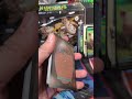 e61 magic the gathering SOS collector booster pack opening #mtg #sayakhilafkarenabenar #strixhaven
