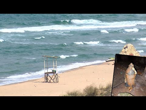 Şile'de denizde çok sayıda top mermisi bulundu