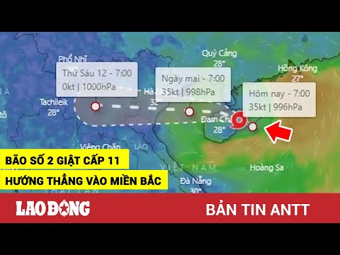 Video Trưa 10/8 | Bão số 2 giật cấp 11, 