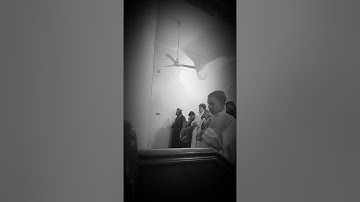 سورة النبأ بصوت الشيخ شريف محمد صالحين