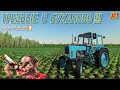 ✅FS 19 ТРЕЗВЫЕ В БУХАЛОВО (часть 1)💥💥💥