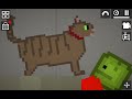 Melon sandbox kedisi ev denkaçıyor!