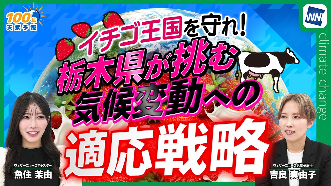 気候変動番組
