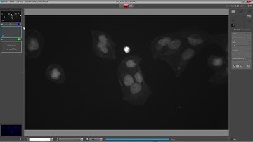 Jenoptik Gryphax Software Multi Fluorescence