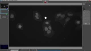 Jenoptik Gryphax Software Multi Fluorescence