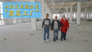 宽菜卤味事业步入正轨，宽菜工厂正式开工，把伯爷伯娘接过来看看