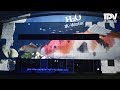 4Kプロジェクションマッピング あすたむらんど徳島