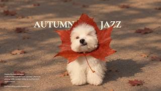 [𝑷𝒍𝒂𝒚𝒊𝒔𝒕] Came for autumn jazz, but I'm only looking at you🐶🤎| Vintage Jazz · Cafe Jazz screenshot 3