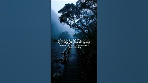 وقالوا اتخذ الرحمن ولدا | سورة مريم | #سورة_مريم #تلاوة #قرآن #الشيخ_ياسر_الدوسري #تلاوة_خاشعة #لايك
