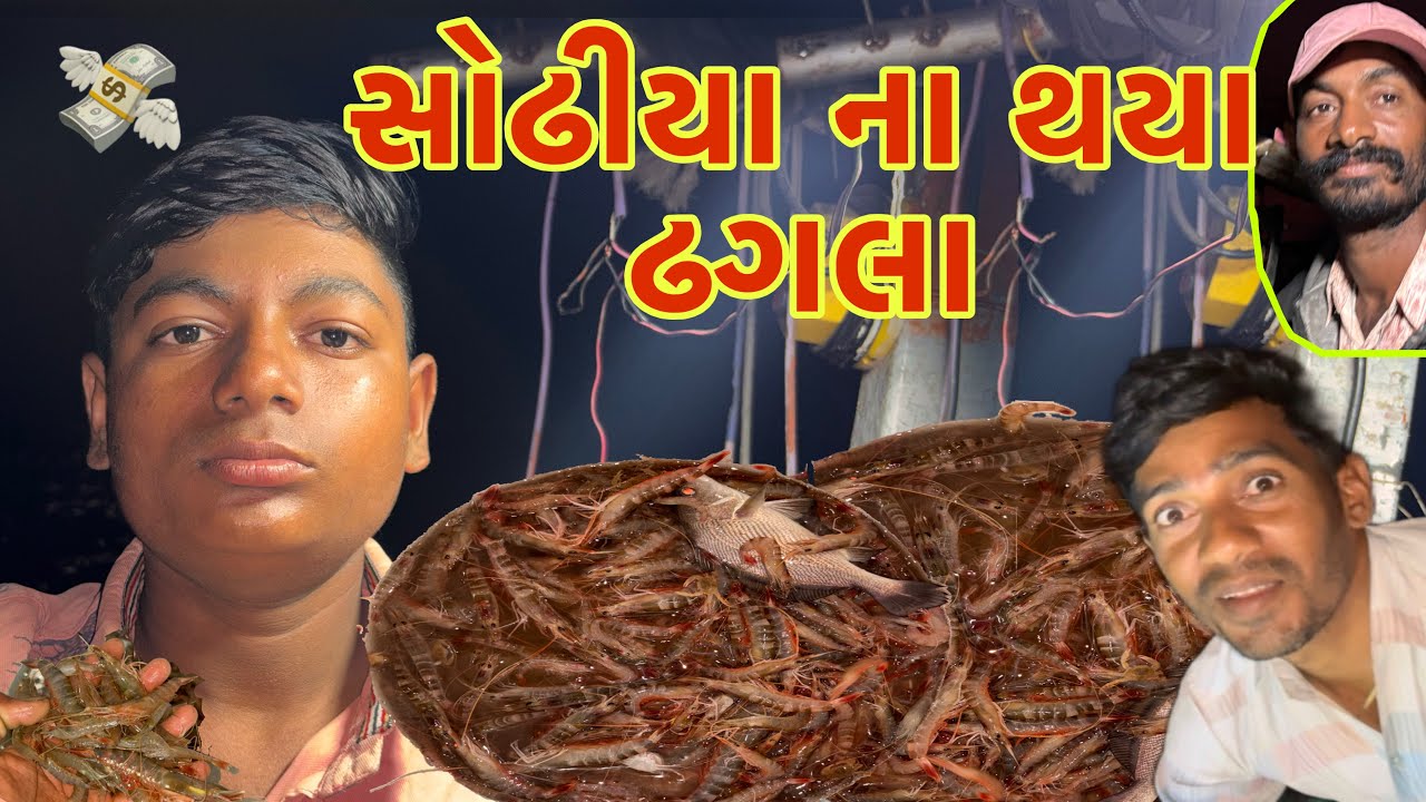 આજે તો બંધણ માં લાલ પટ્ટો સોઢીયા પકડ્યા અને સોઢીયાના થયા ઢગલા🦐🌊