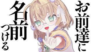 【雑談】絶対8年目にやらないこと、やる。【にじさんじ/矢車りね】