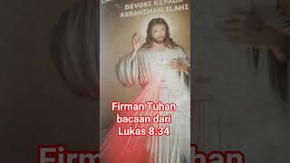 After The Pig Keepers Saw What Had Happened firmantuhan shorts